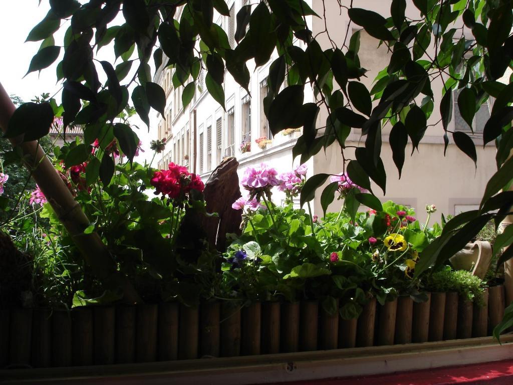 Chambres Les Soyeuses Lione Esterno foto